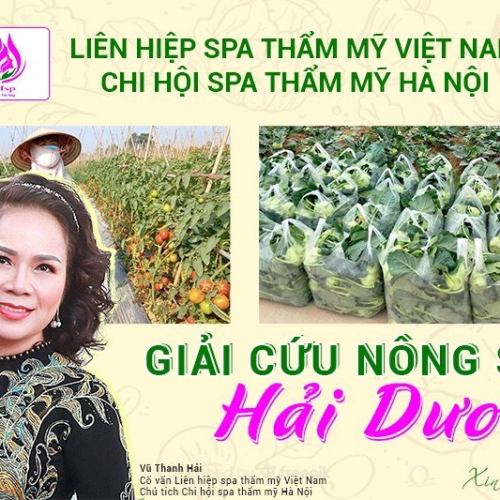 GÓC GIẢI CỨU NÔNG SẢN HẢI DƯƠNG